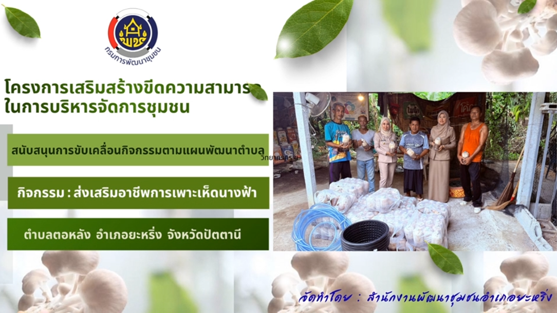 โครงการเสริมสร้างขีดความสามารถในการบริหารจัดการชุมชน กิจกรรมส่งเสริมอาชีพการเพาะเห็ดนางฟ้า ตำบลตอหลัง อำเภอยะหริ่ง จังหวัดปัตตานี